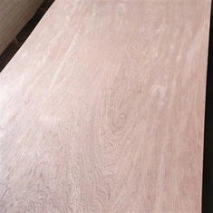 Bord Doras Sraithadhmaid Okume